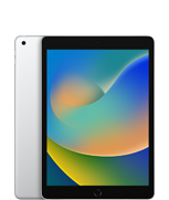 iPad (9ᵉ génération)